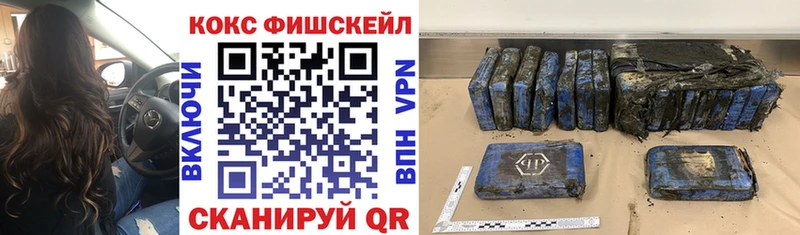 КОКАИН FishScale  купить наркоту  Элиста 