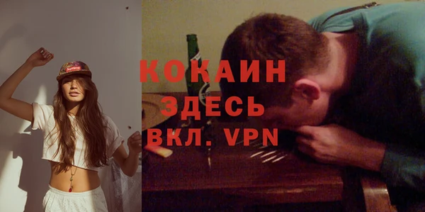 молекула духа Алексеевка